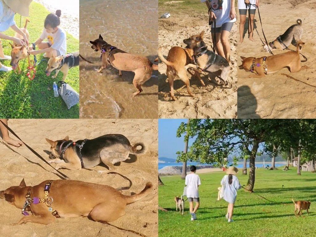 image-3