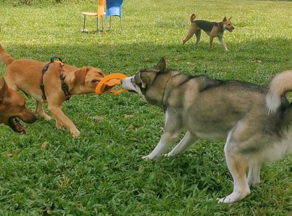 image-32