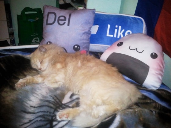 image-8
