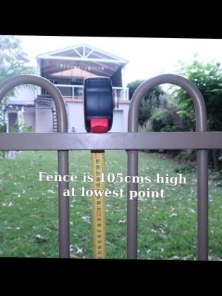 image-4