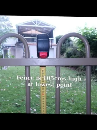 image-4