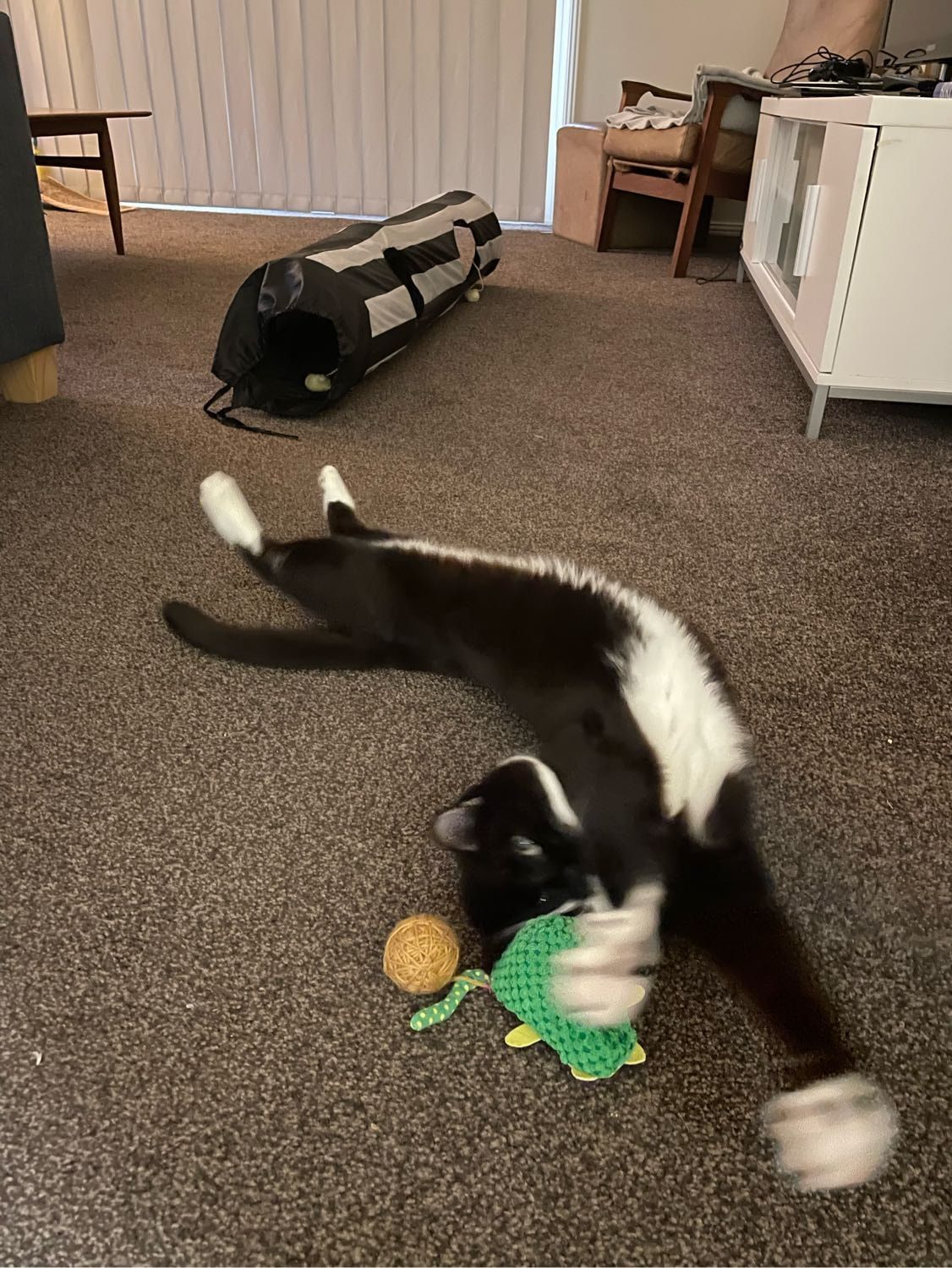 image-6