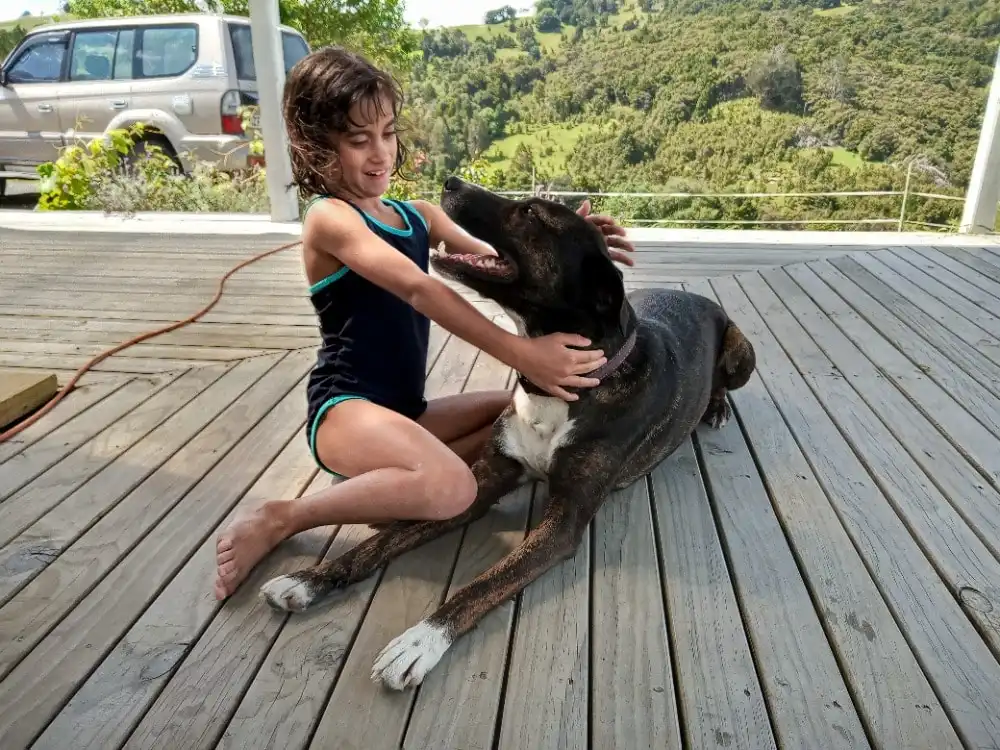 image-5