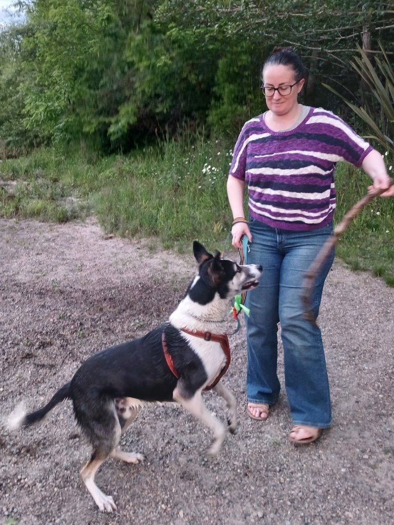 image-42
