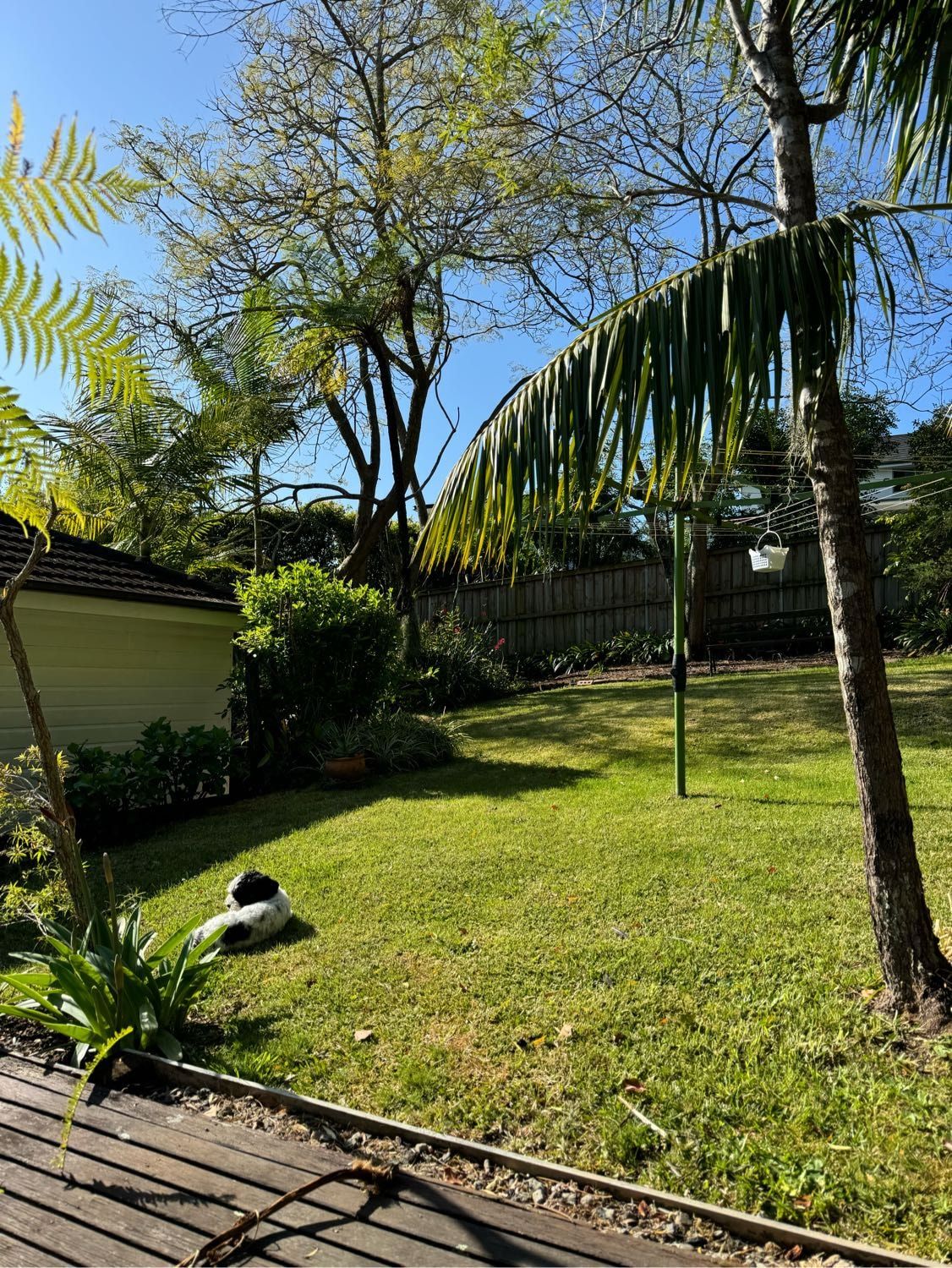 image-11