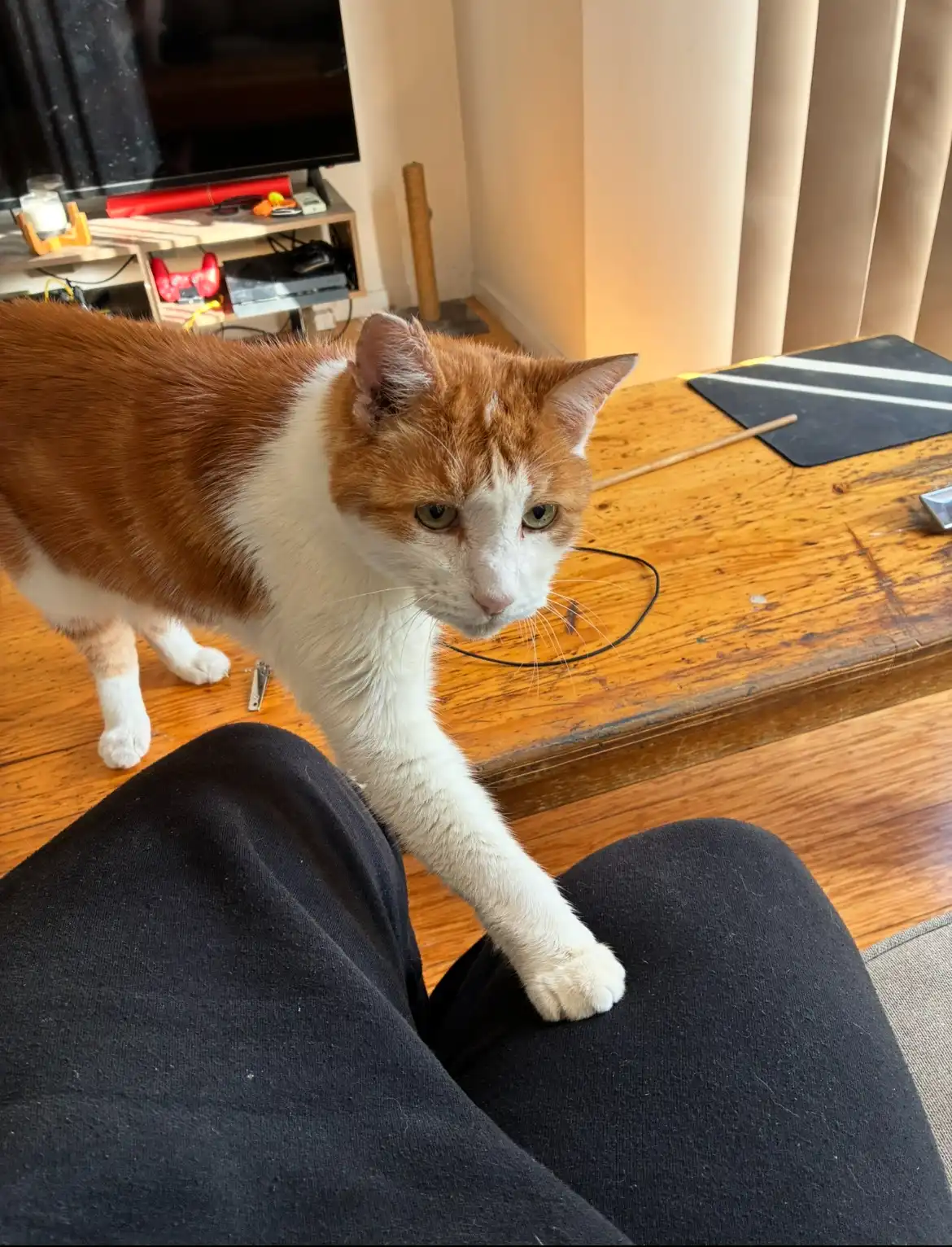 image-11
