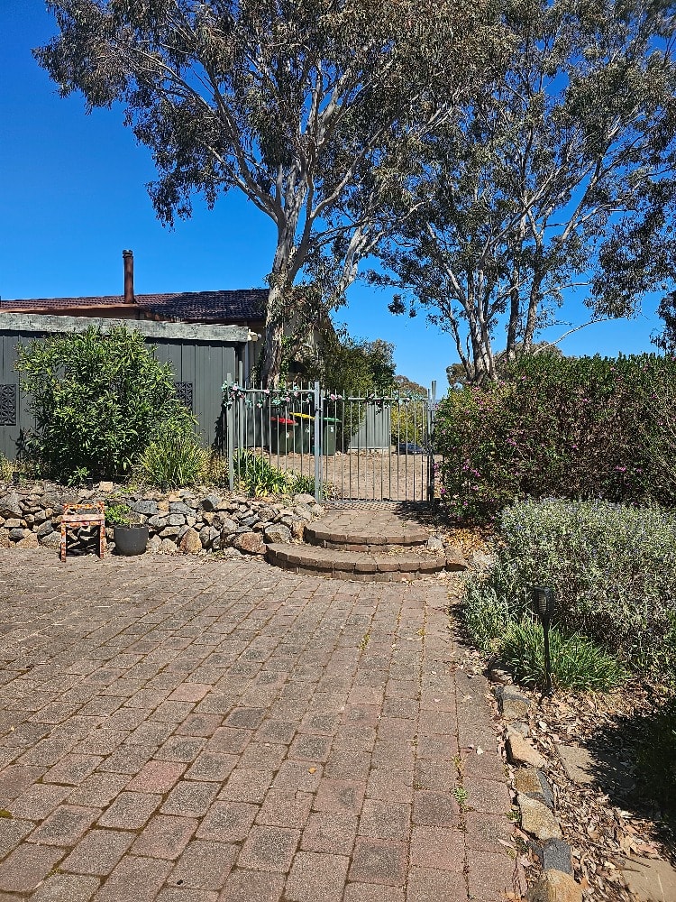 image-19