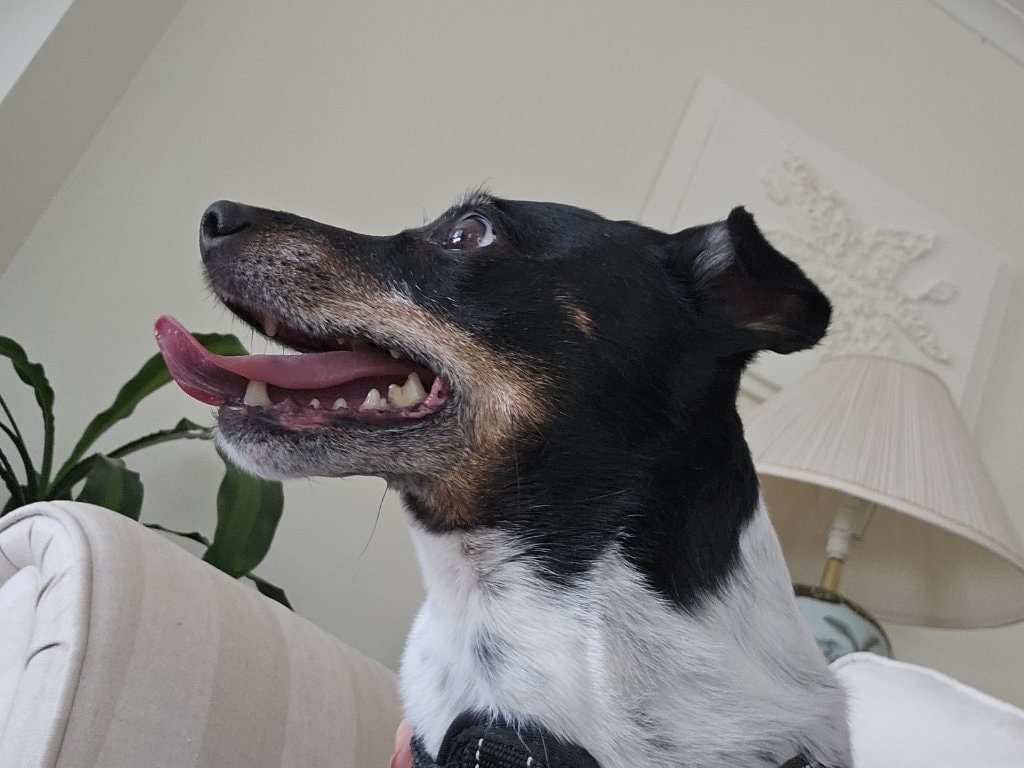 image-6