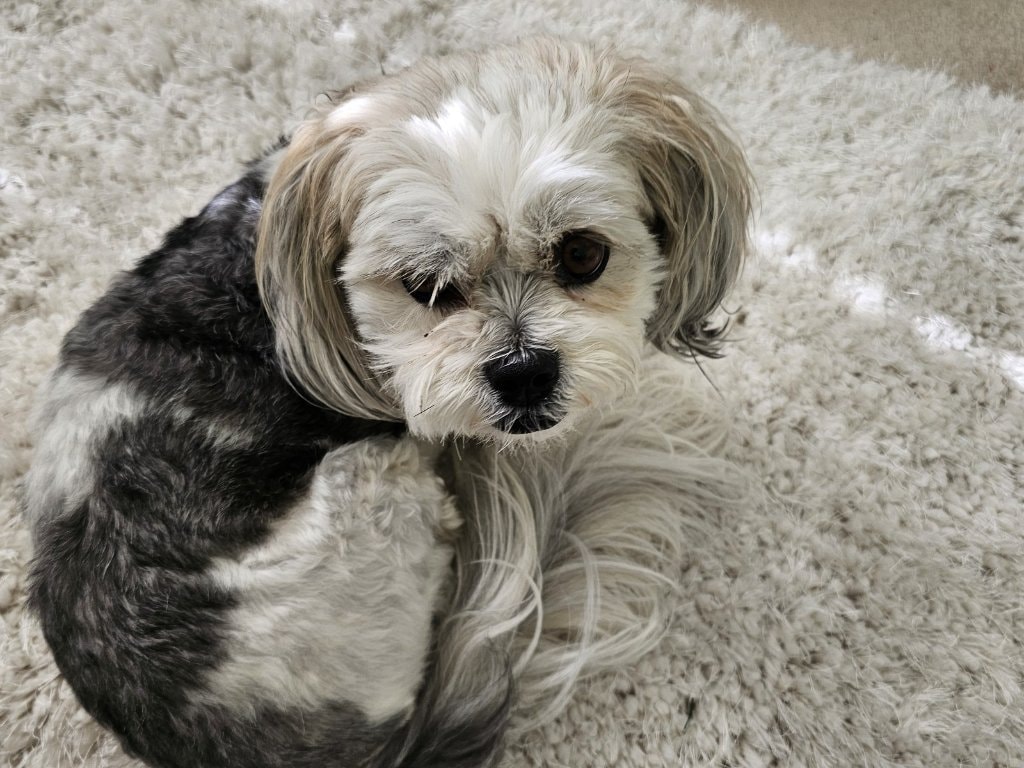 image-11