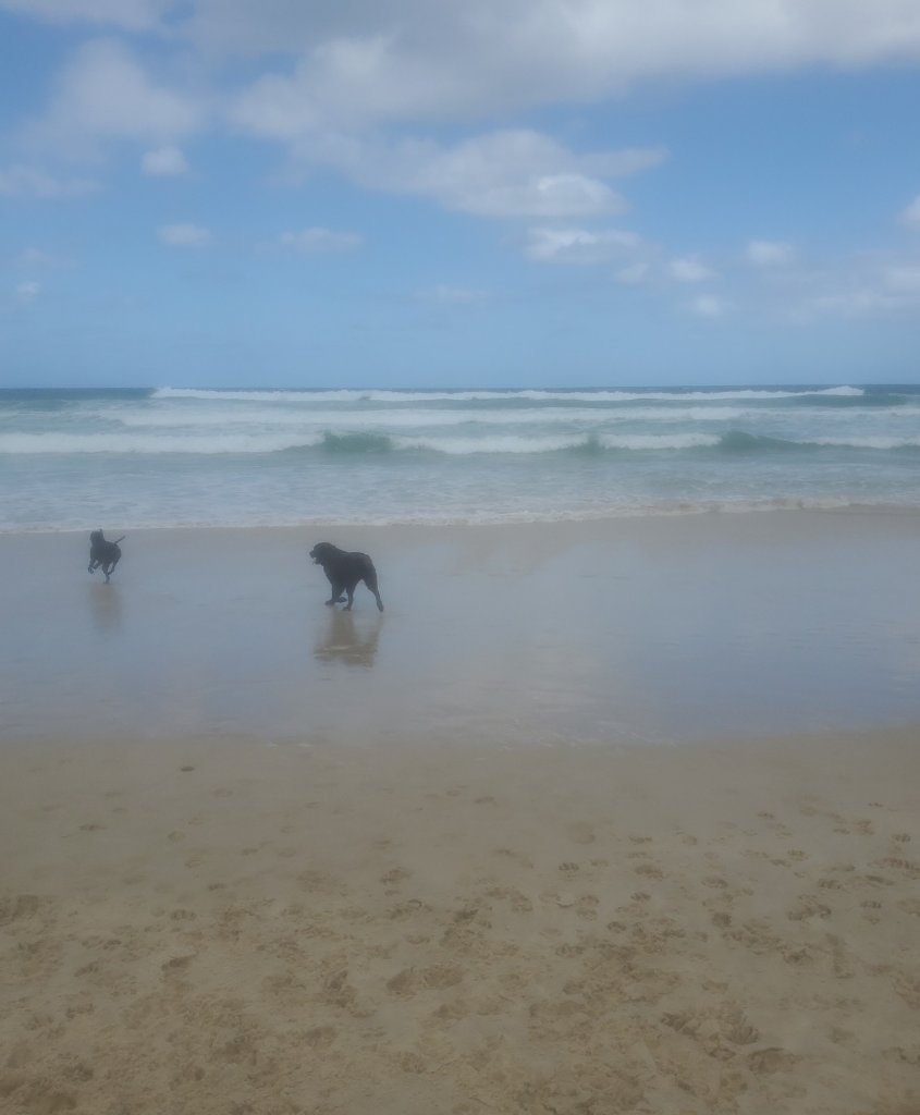 image-37