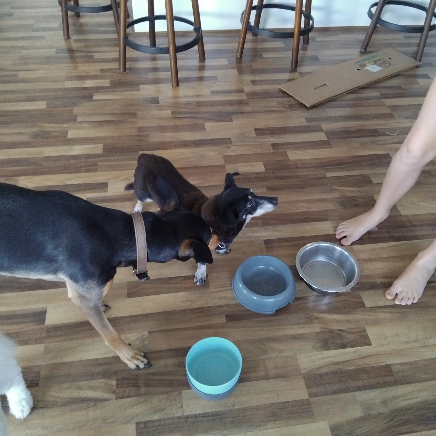 image-59