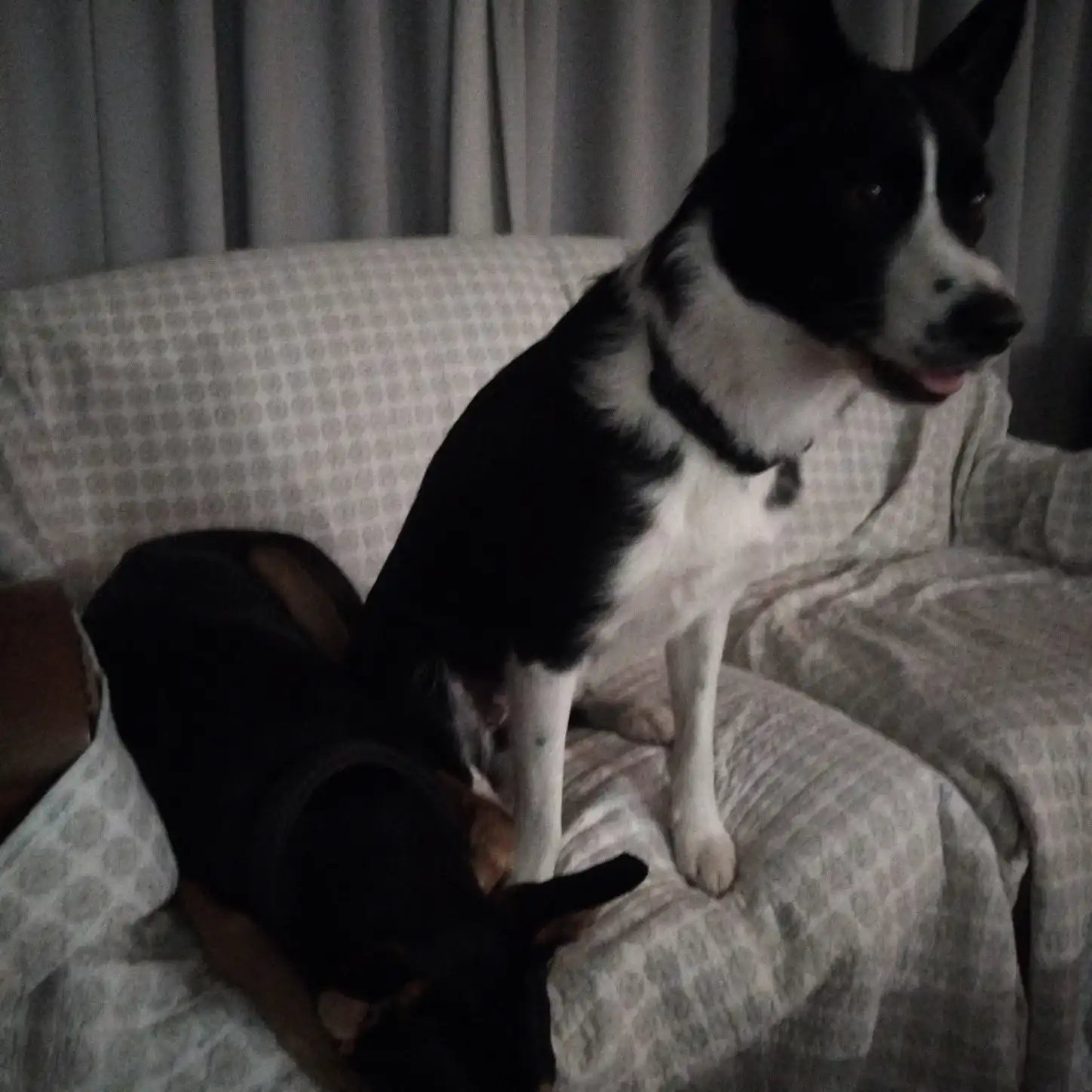 image-57