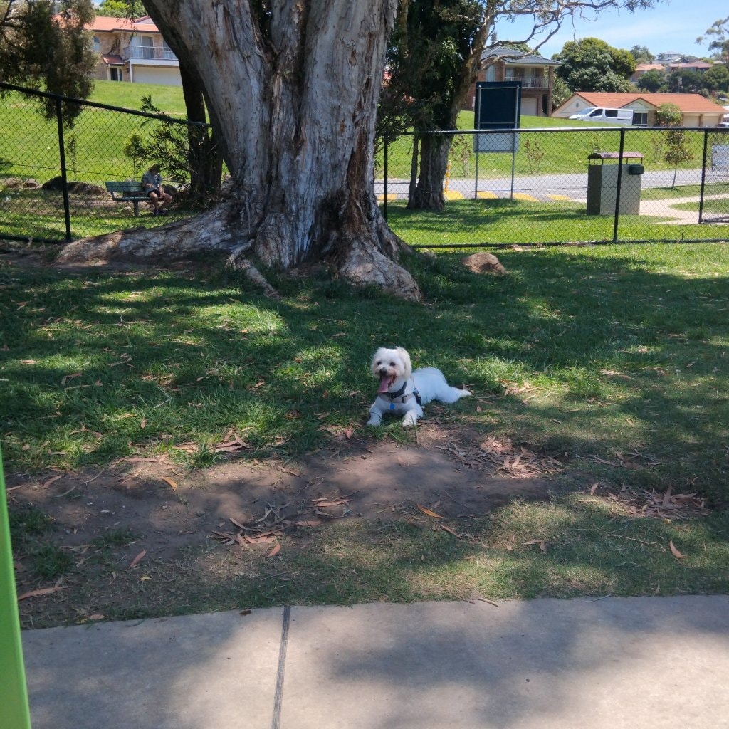 image-47