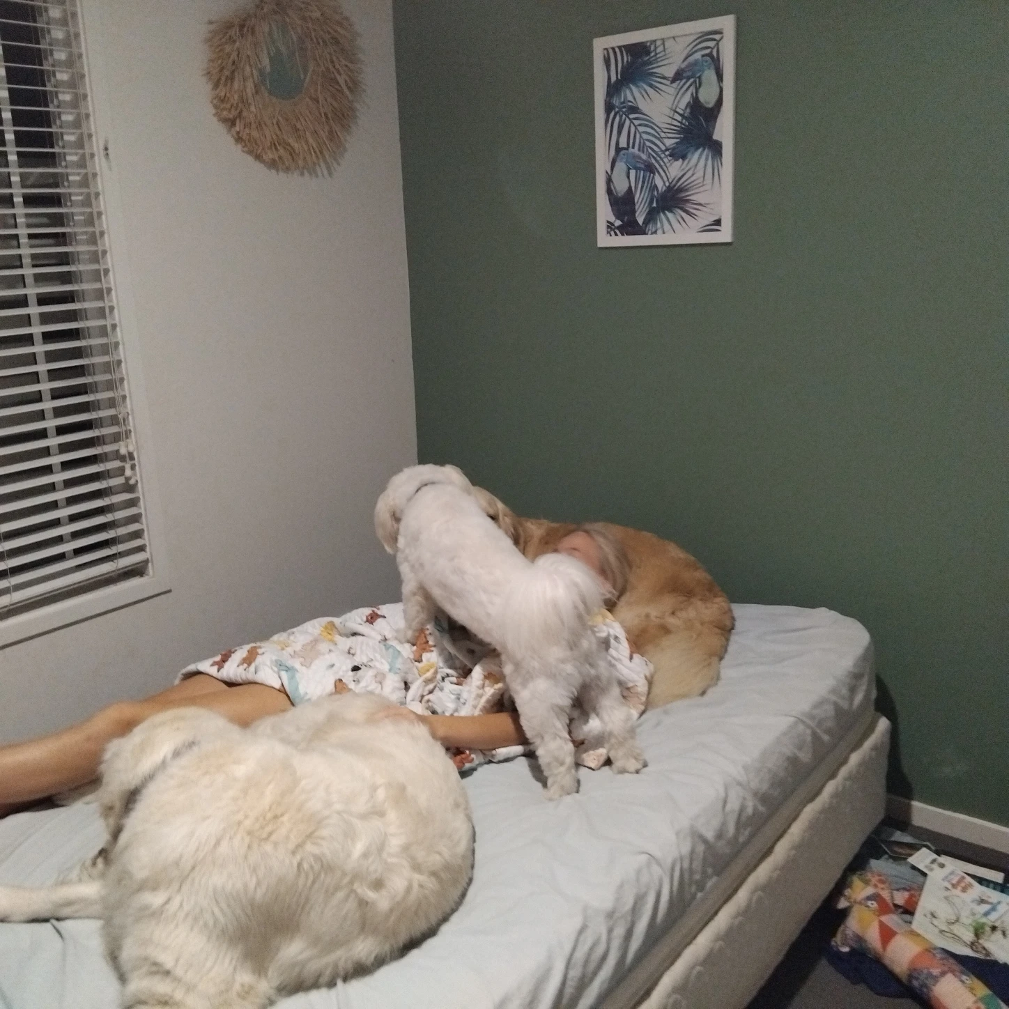 image-55