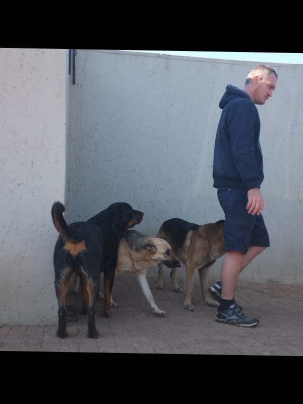 image-28