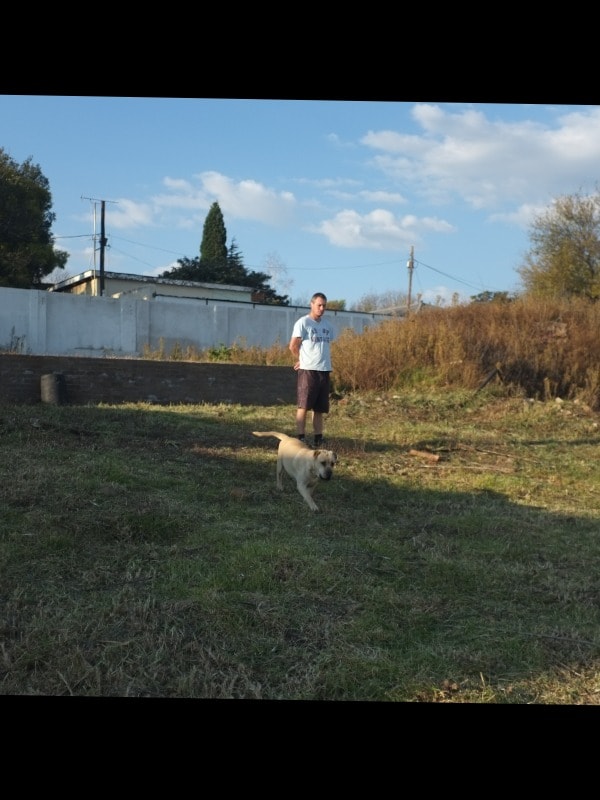 image-17
