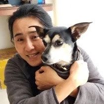 image-4