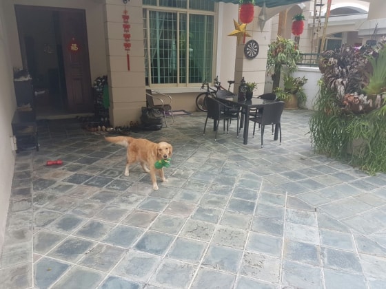 image-17