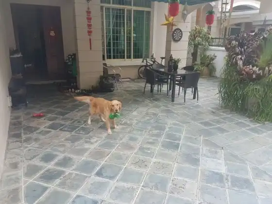 image-17