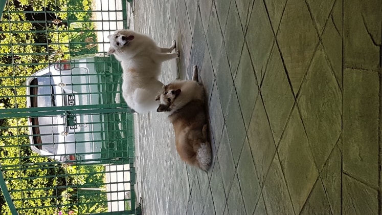 image-28
