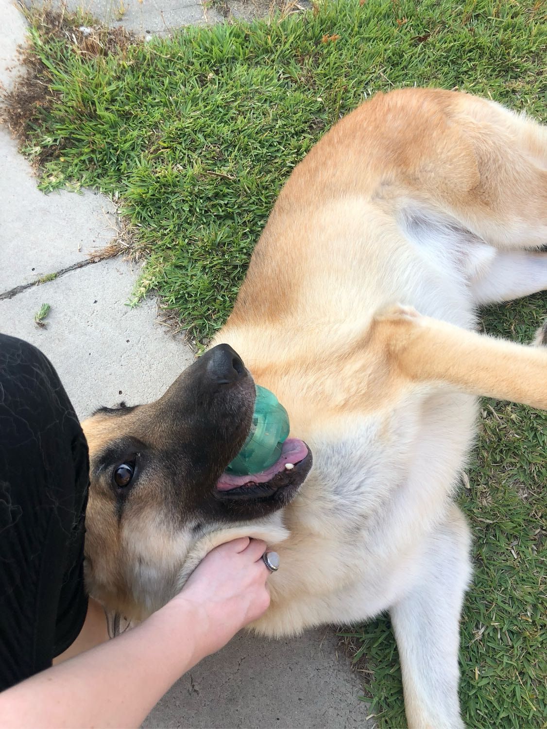 image-13