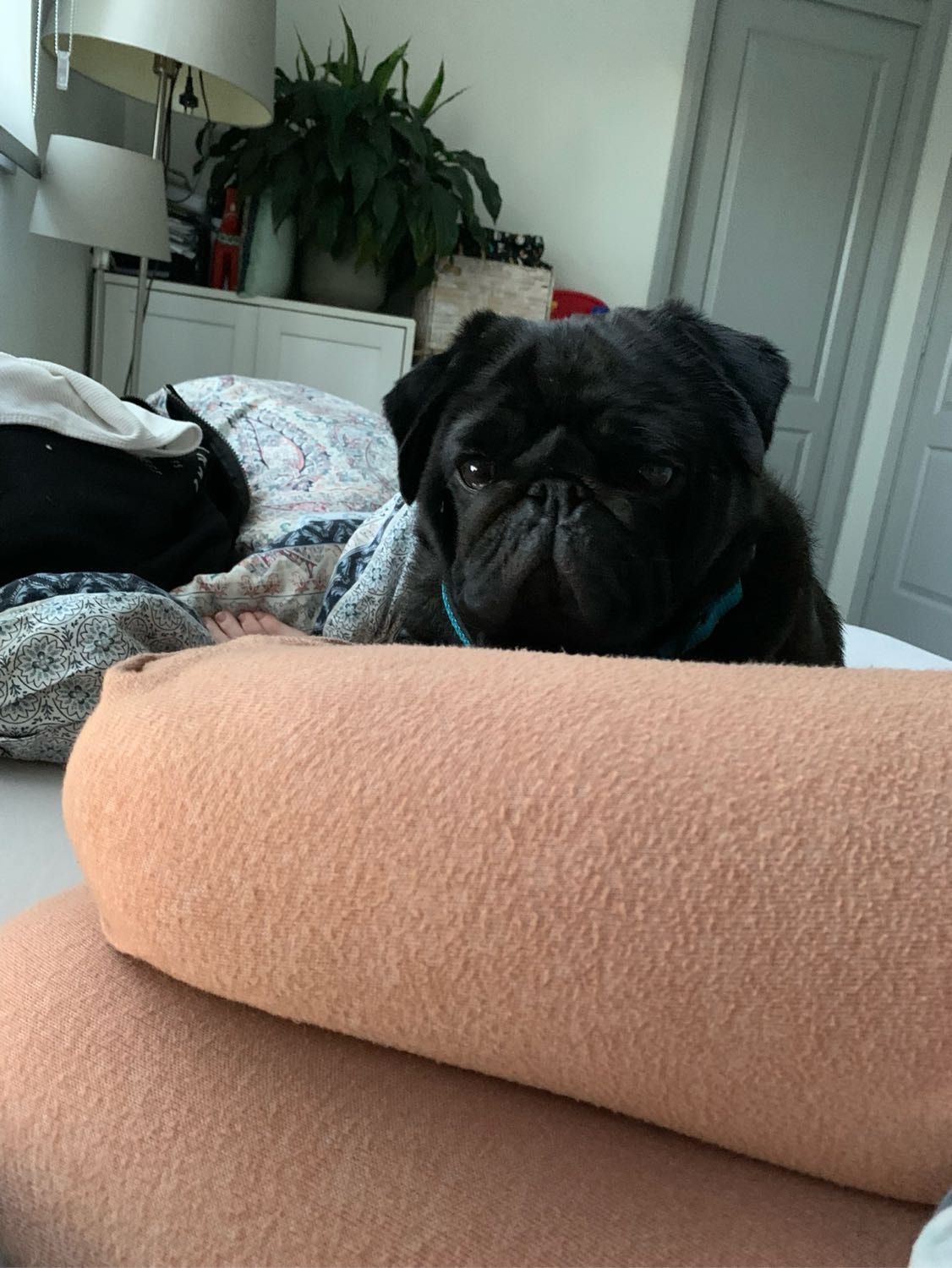 image-6