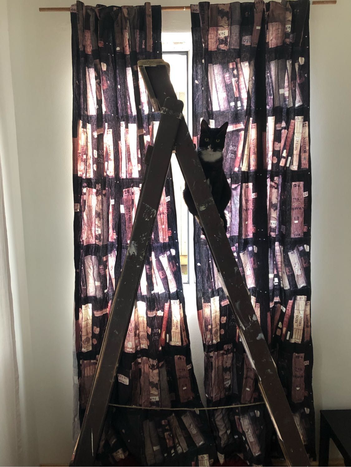 image-12
