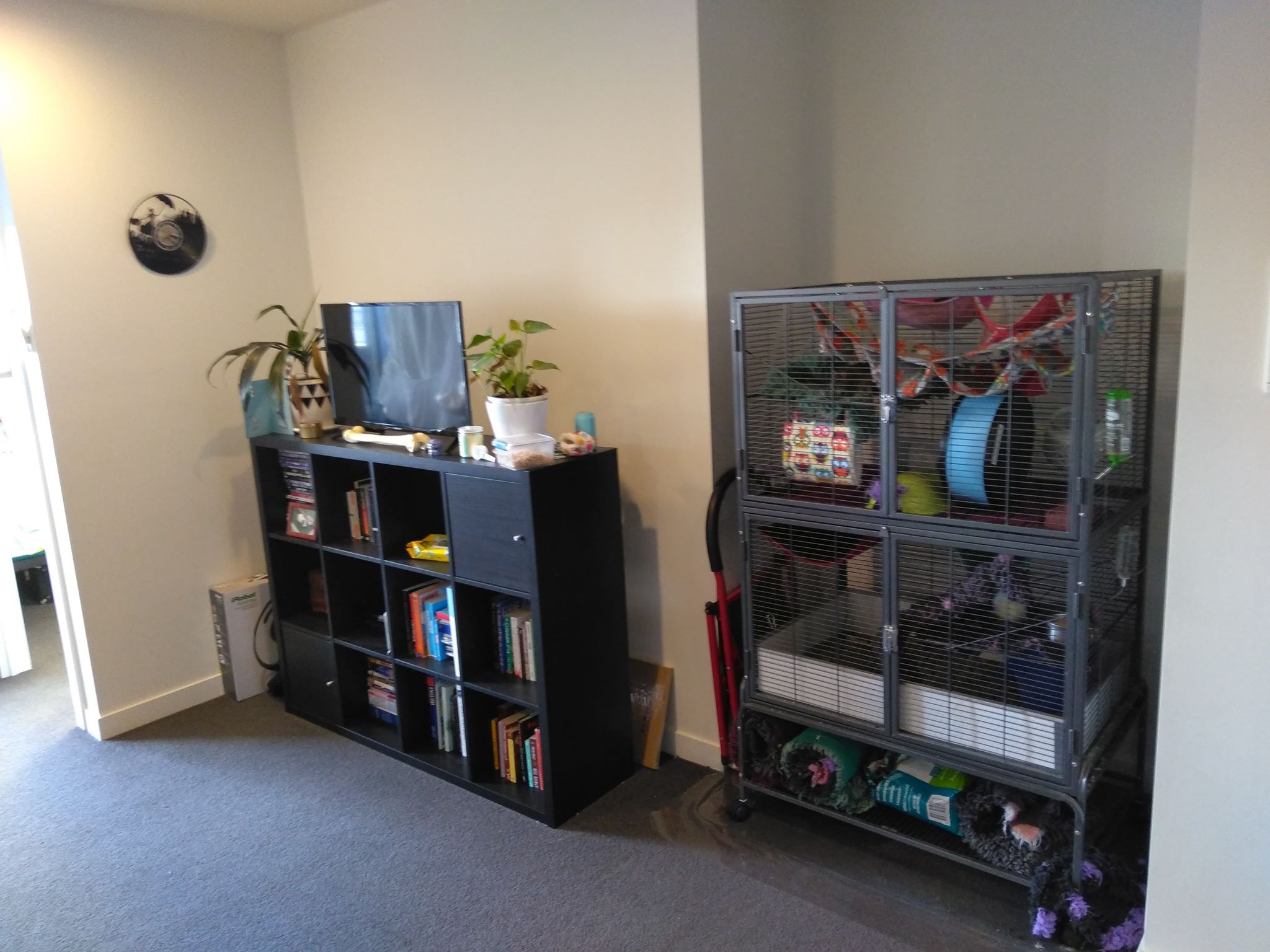 image-12