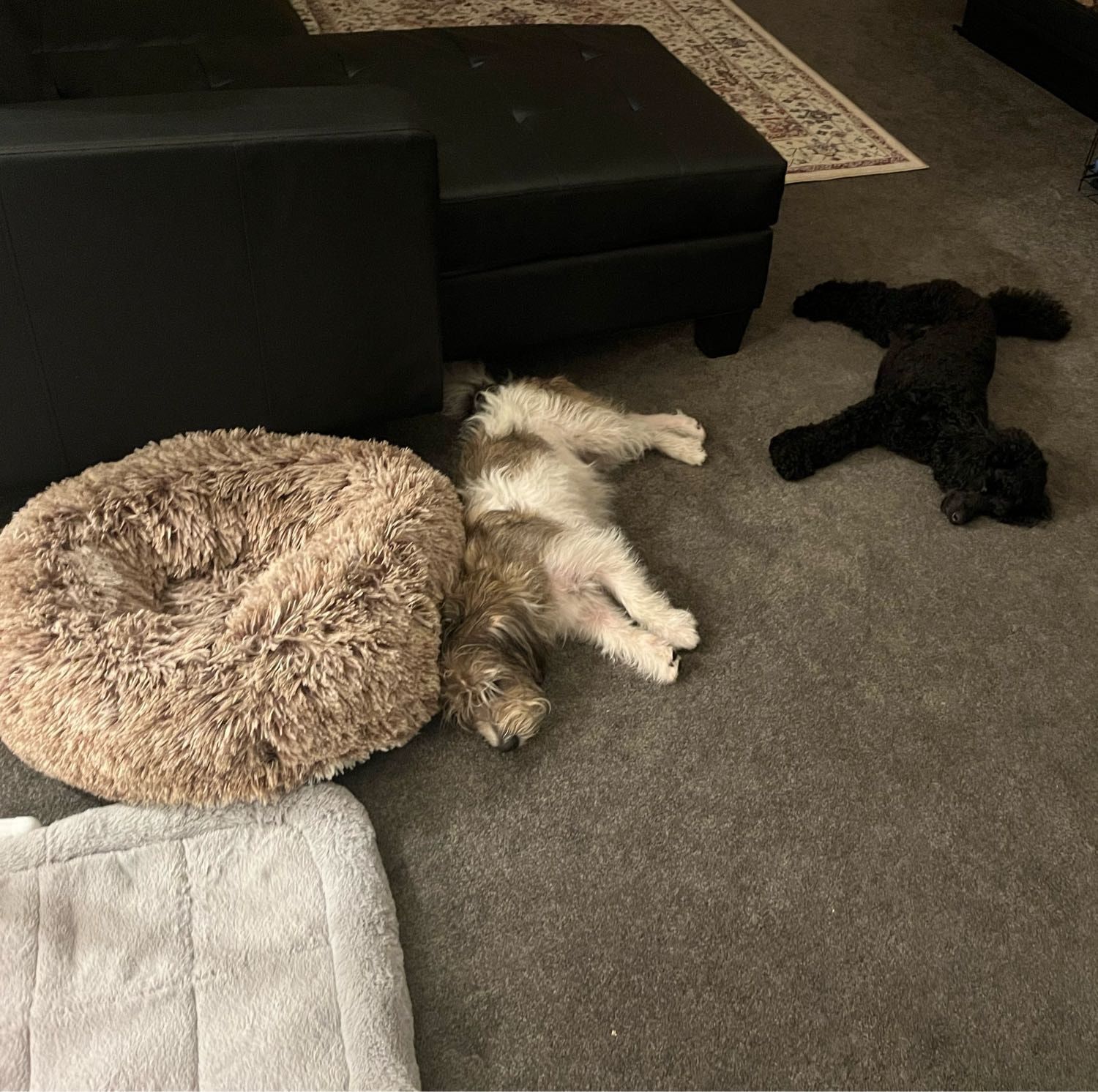 image-28
