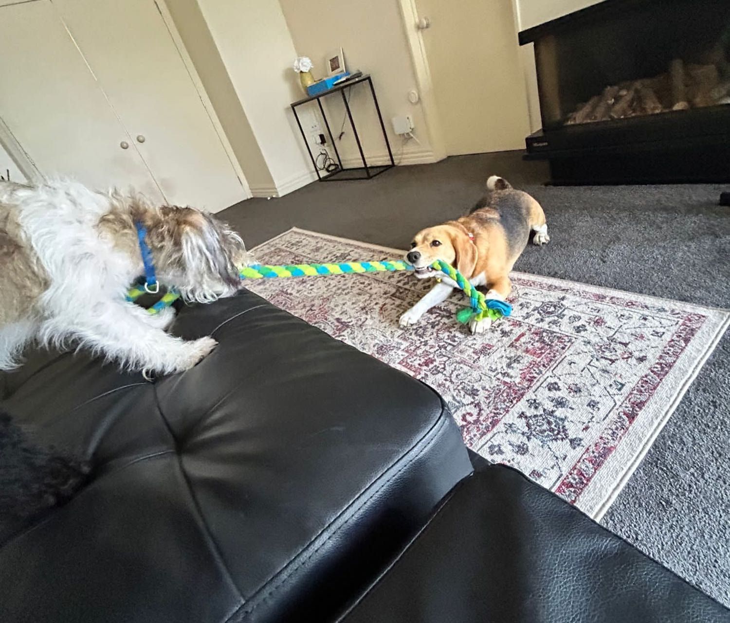 image-32