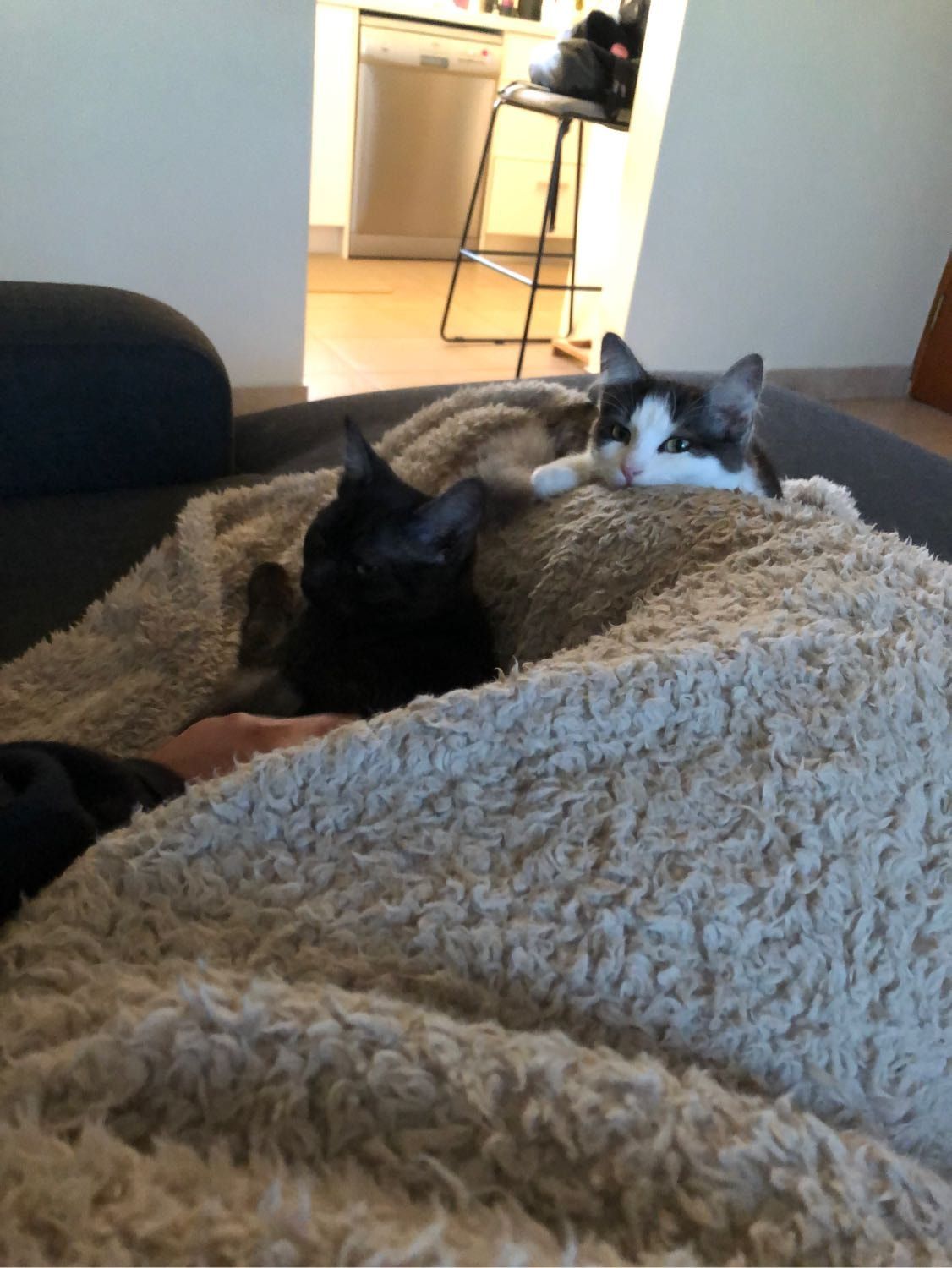 image-5