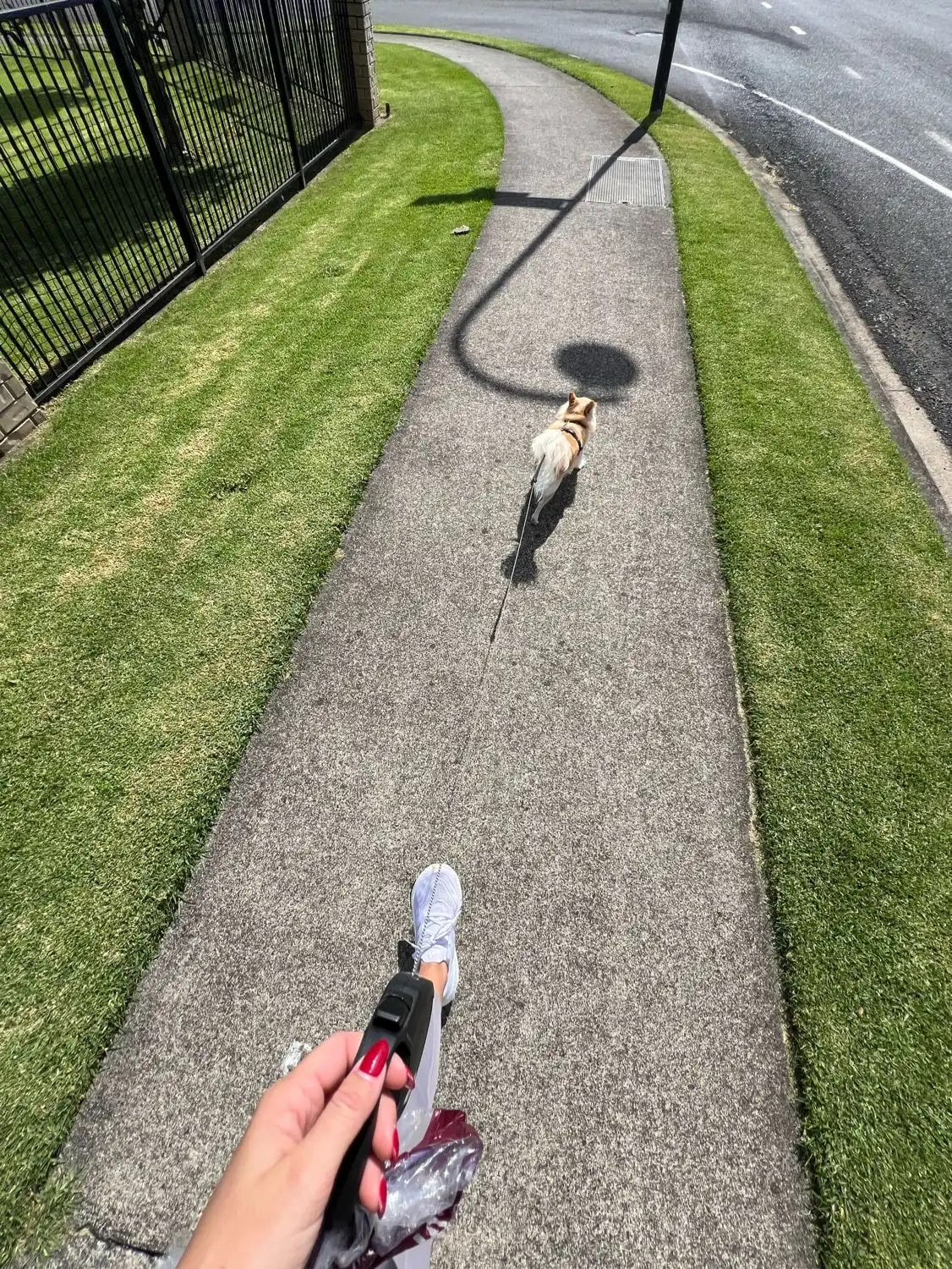 image-6