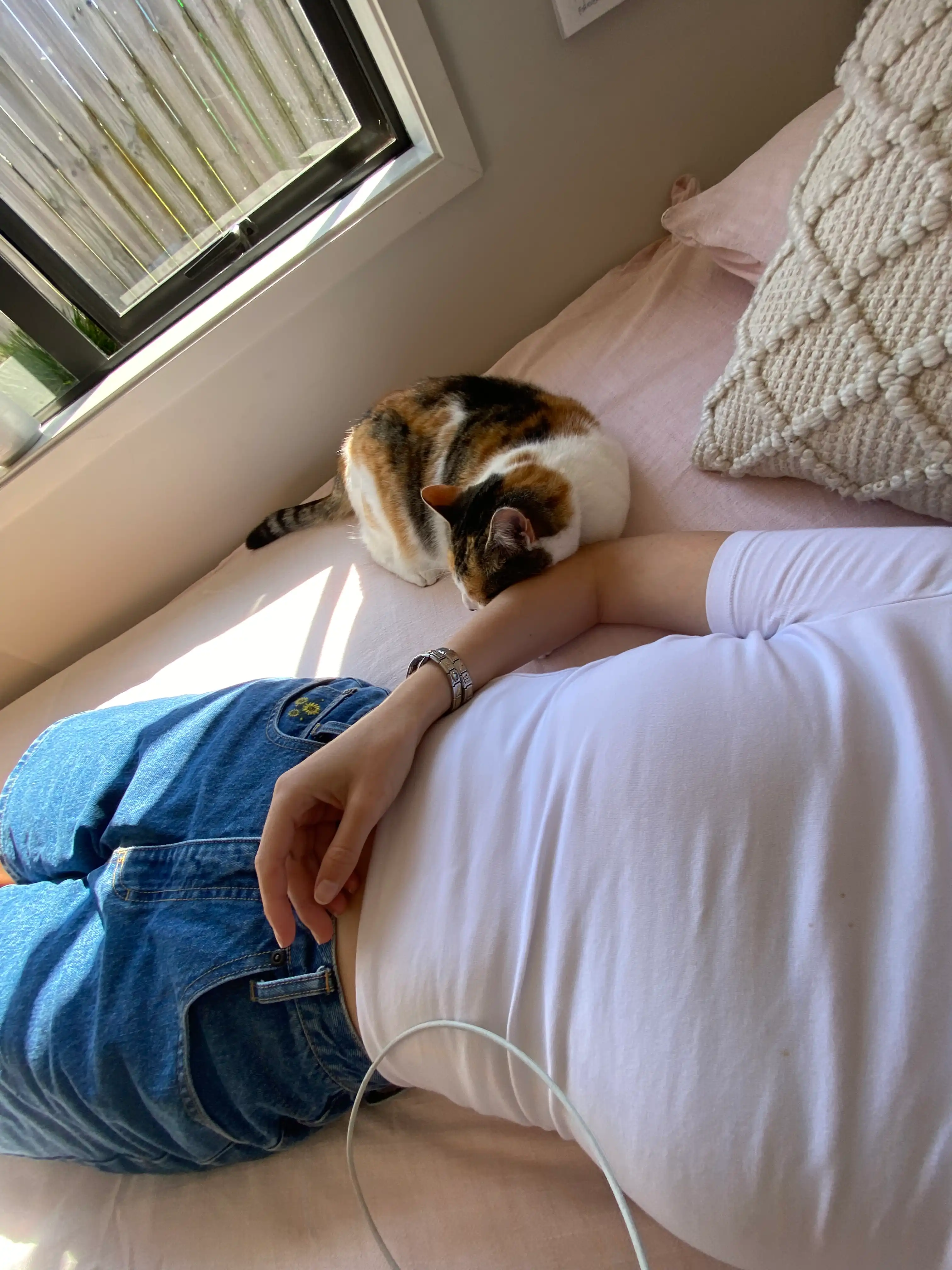 image-7