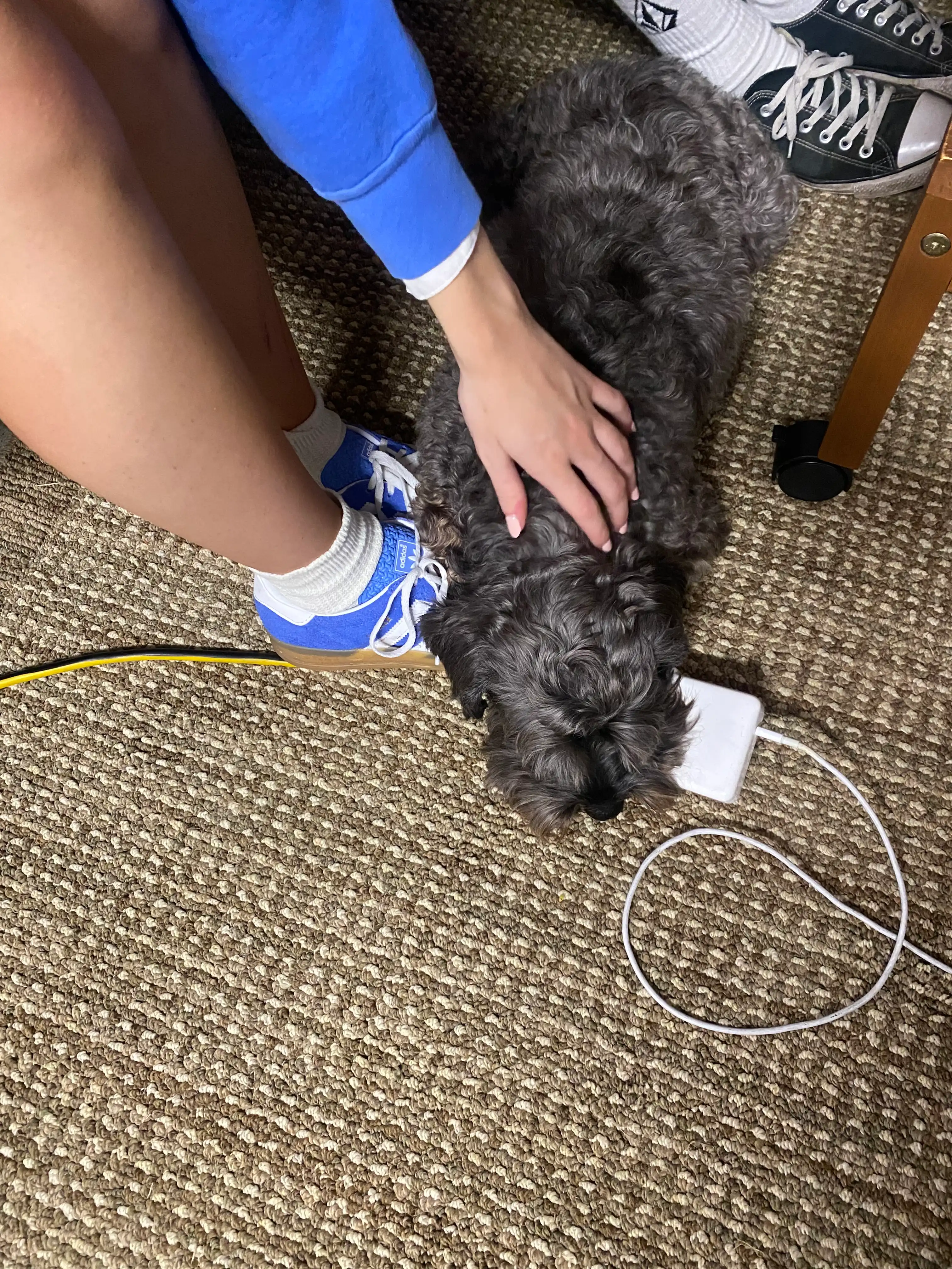 image-8