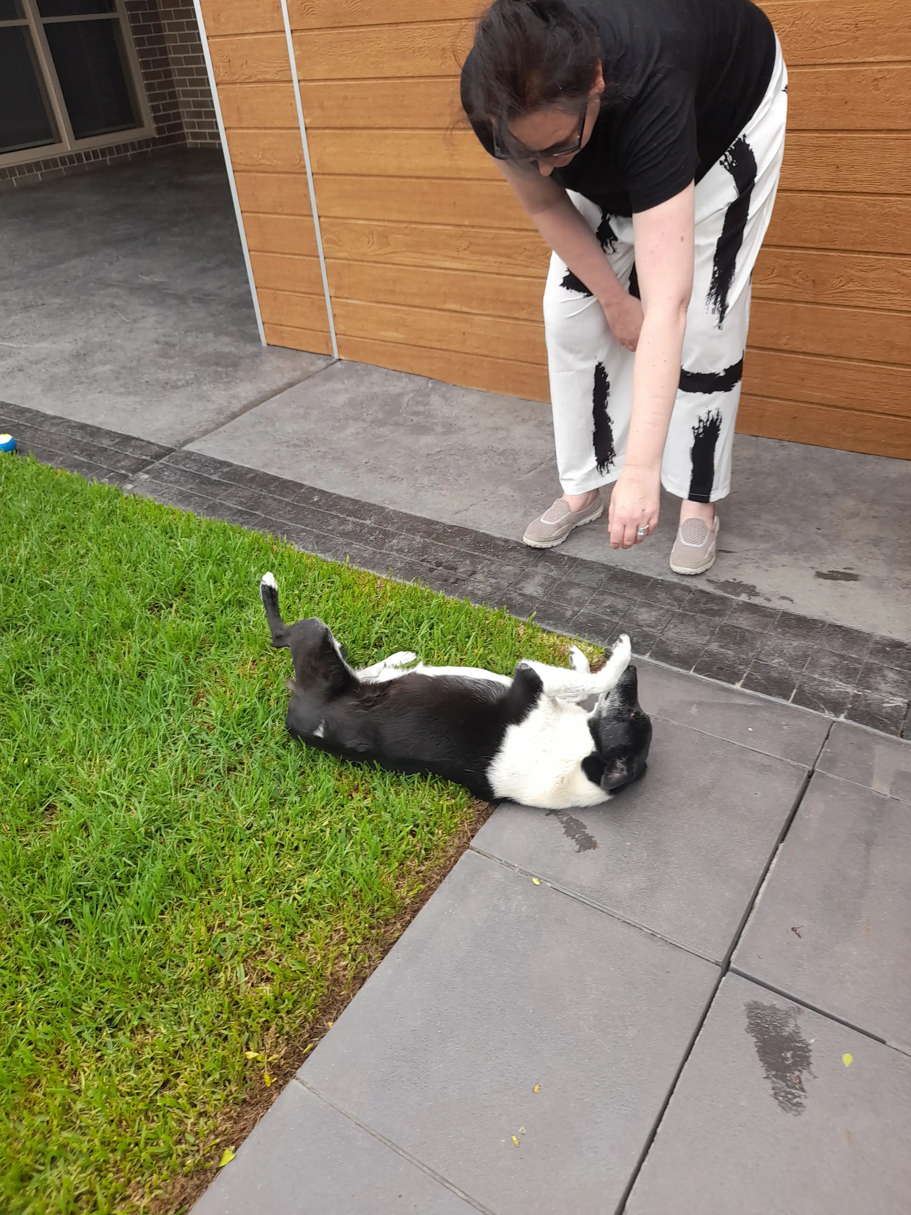 image-8