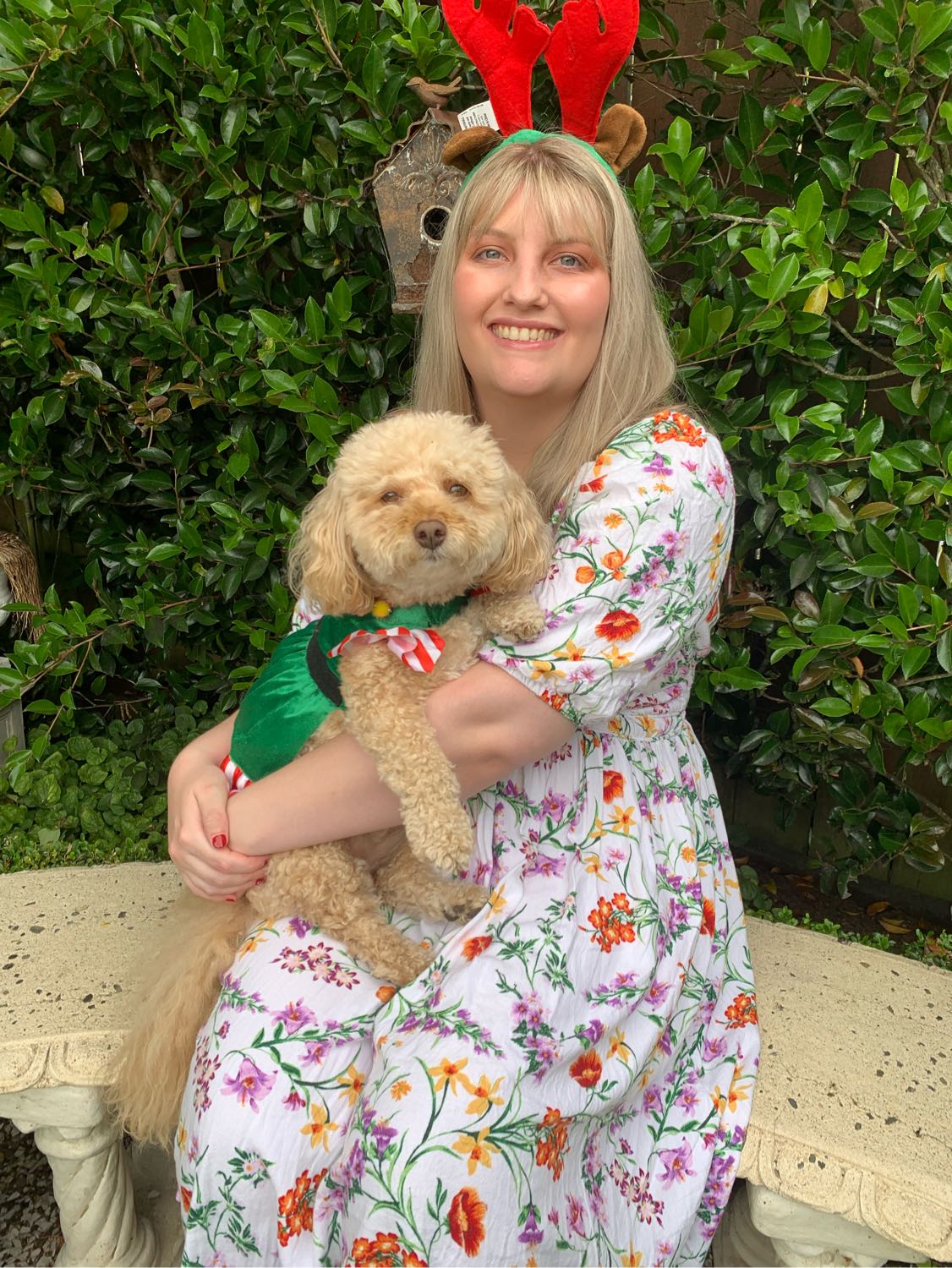 Dog Boarding Be A Pet Sitter Doggy Daycare In Tanay,Rizal, Tanay