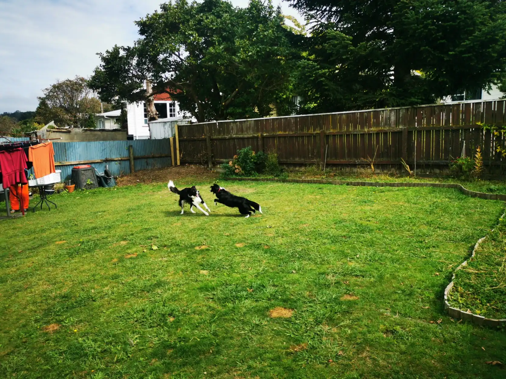 image-31