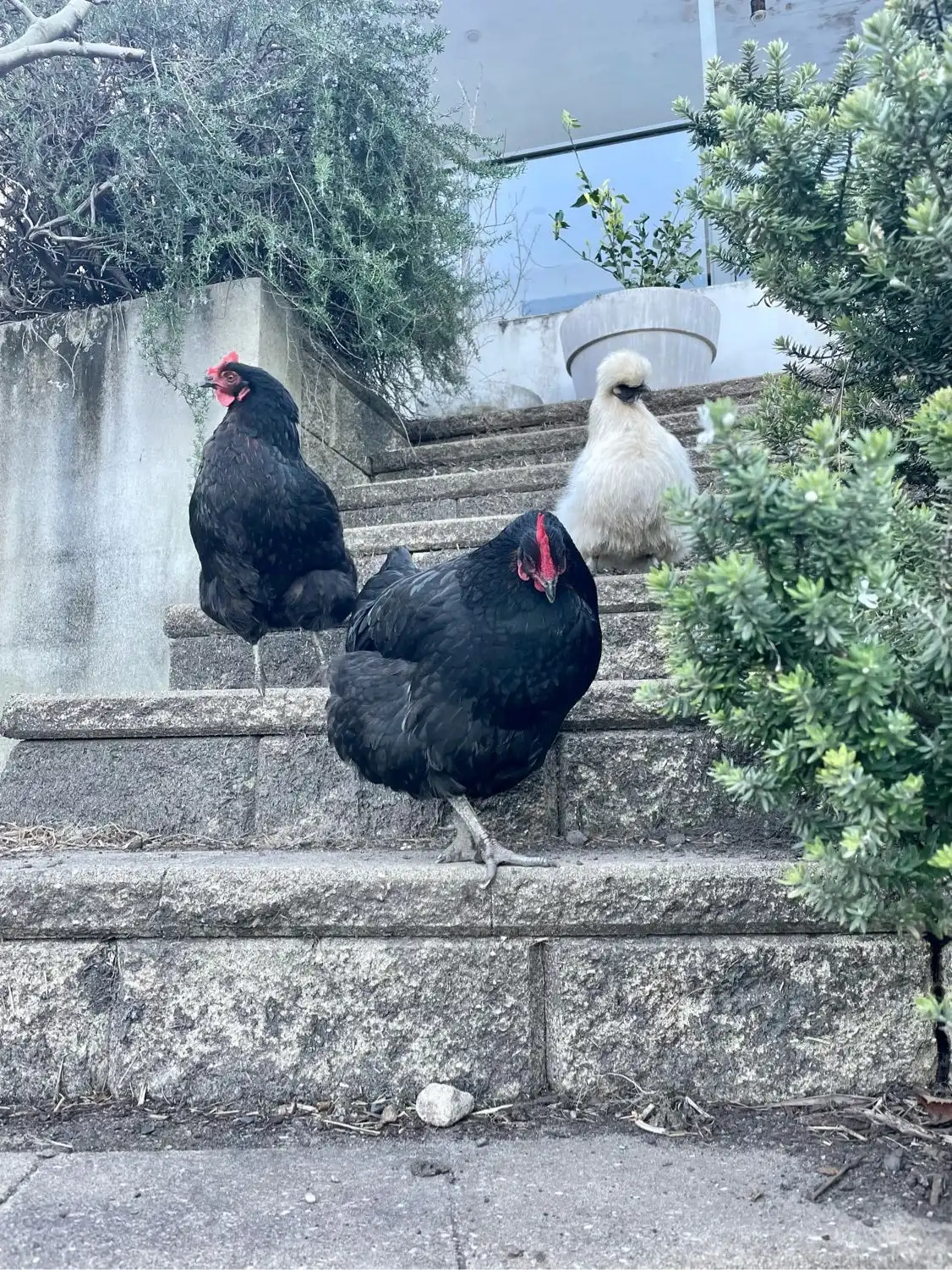 image-13