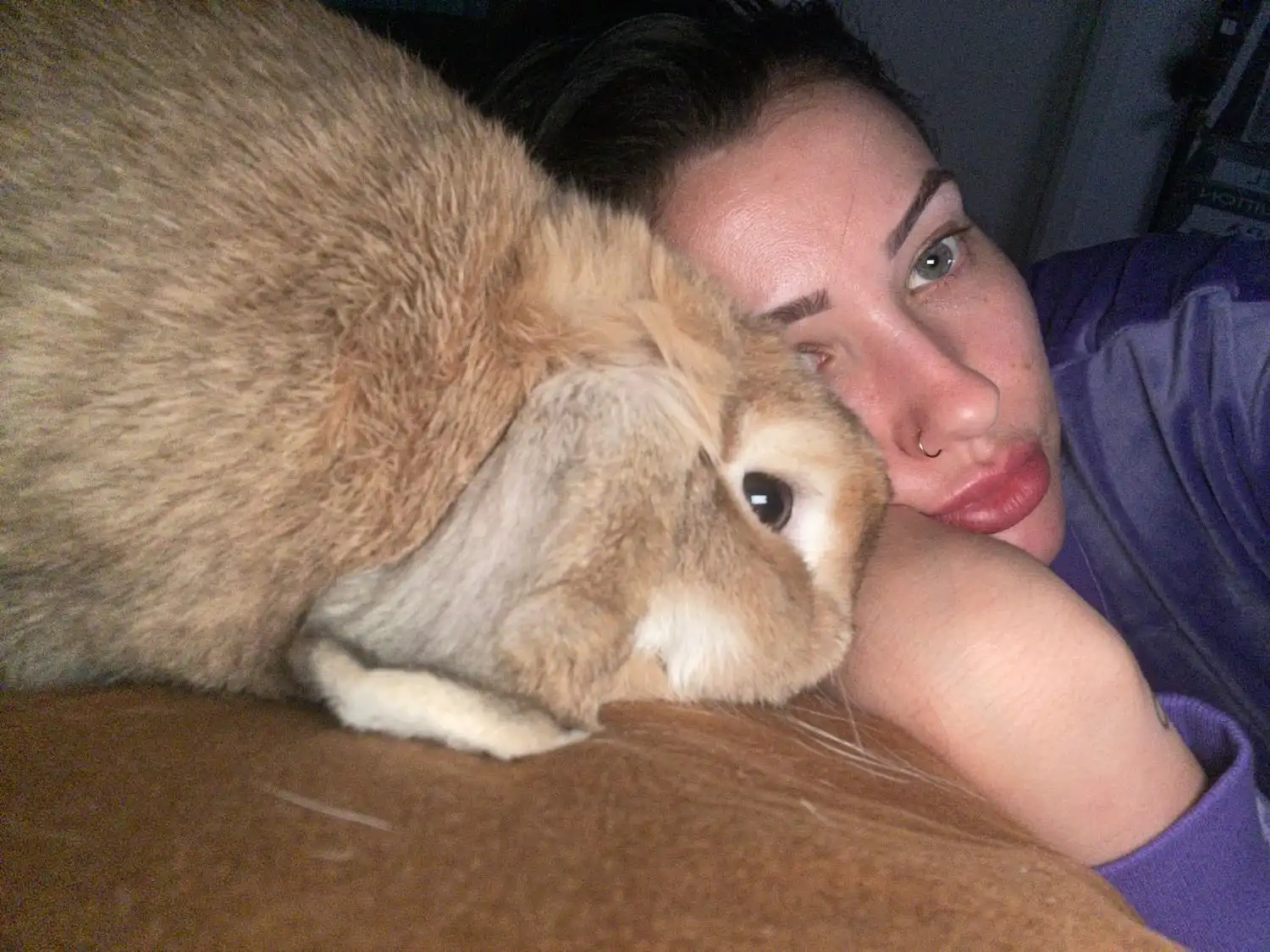 image-5