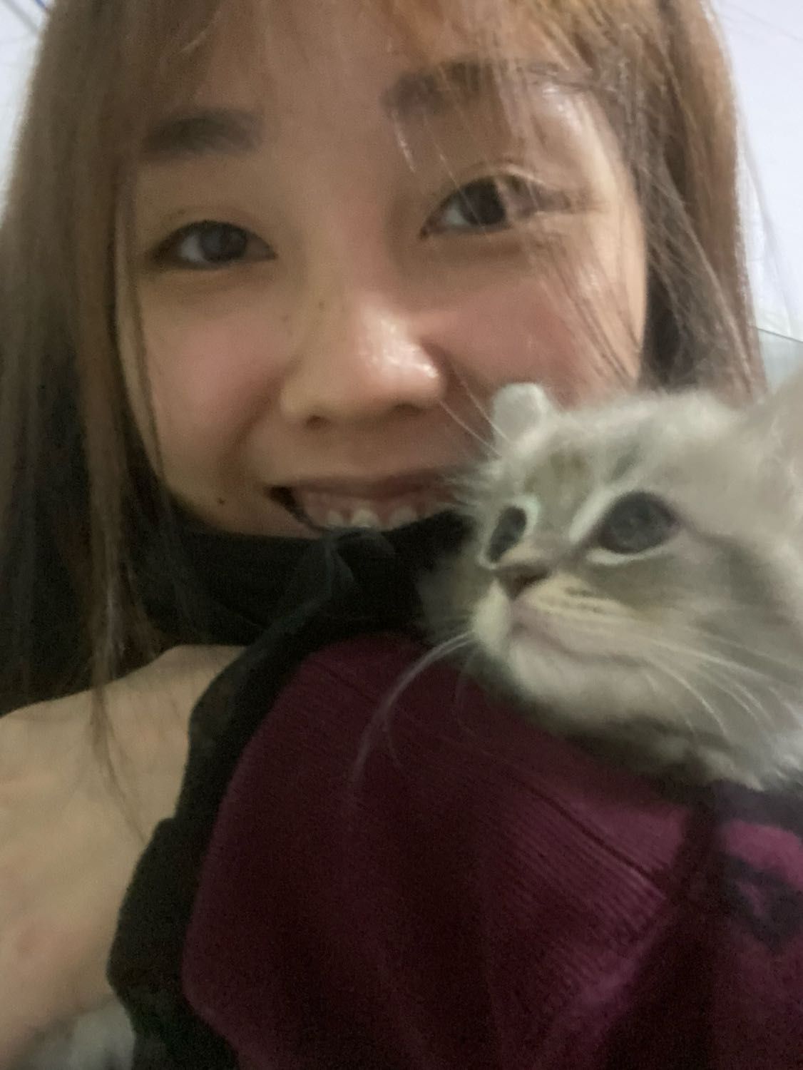 image-7