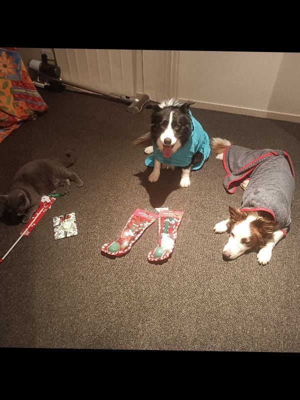 image-14
