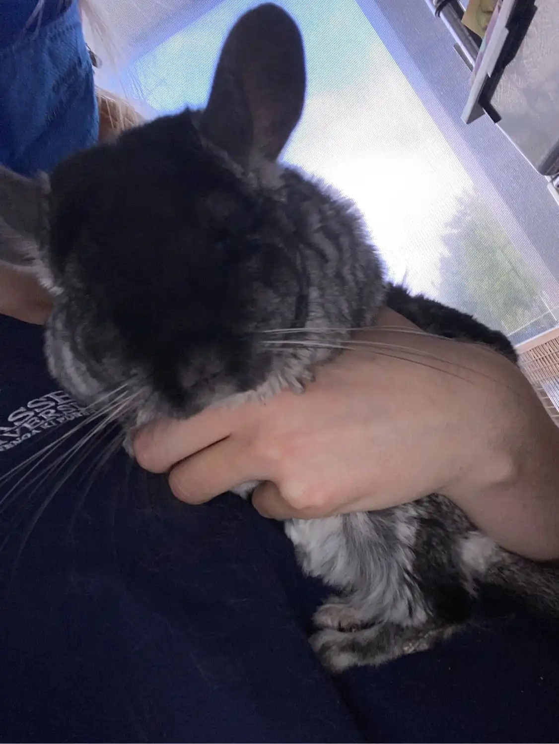 image-7