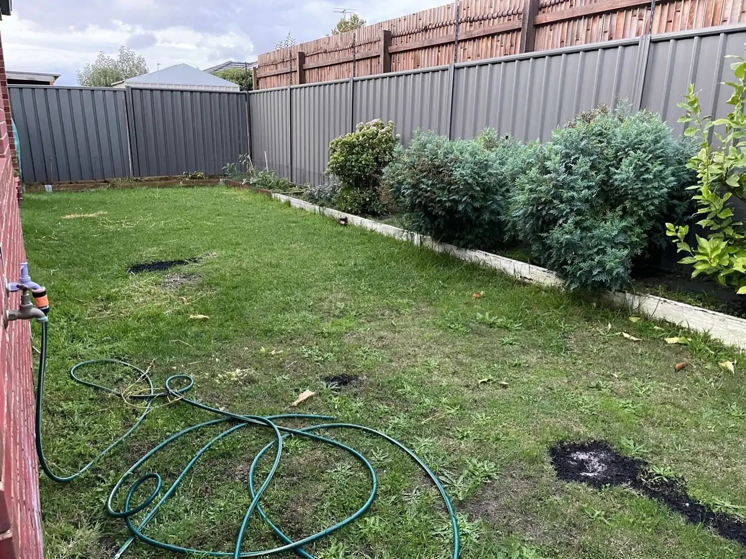 image-5