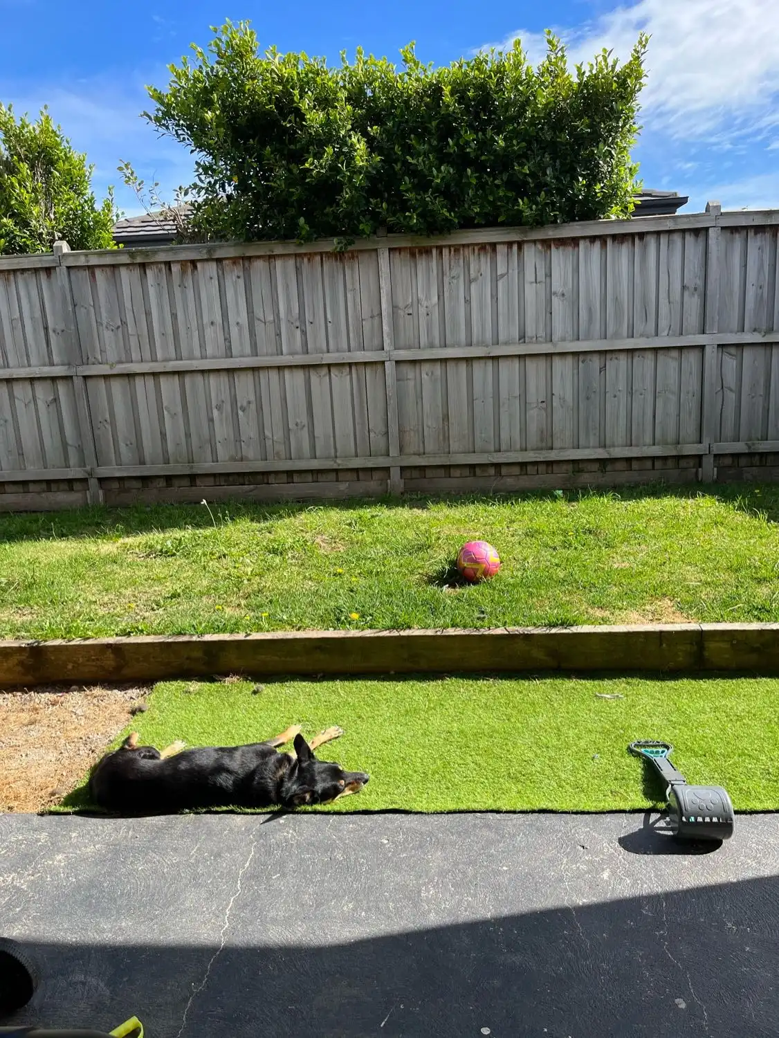 image-17