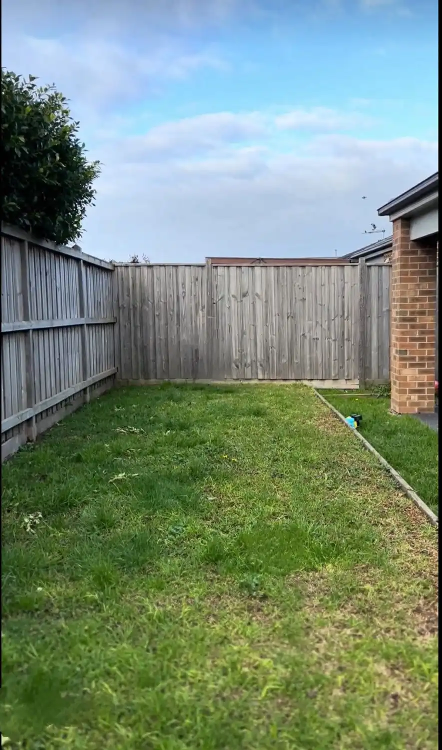 image-16