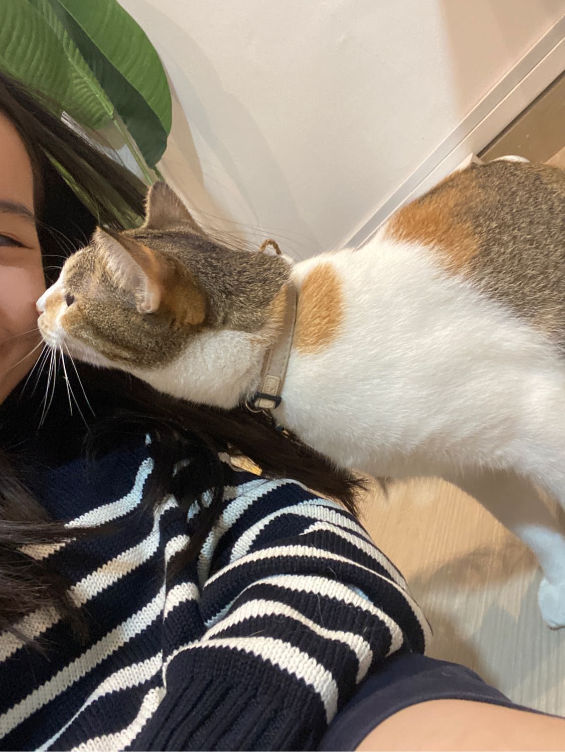 image-11