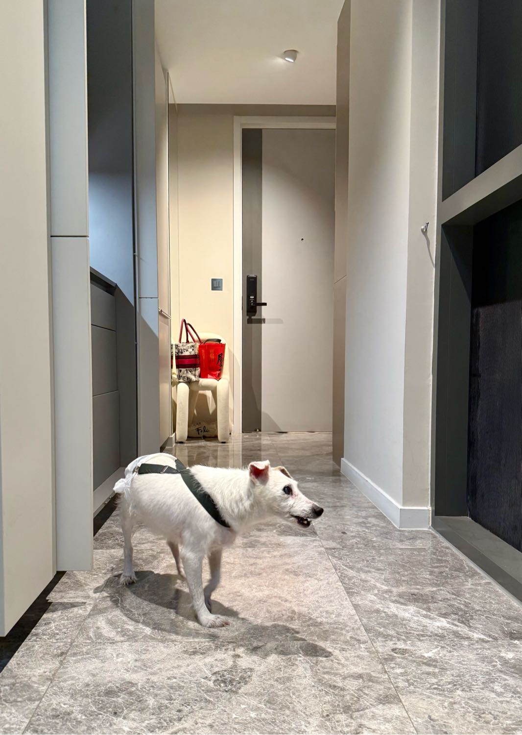 image-16