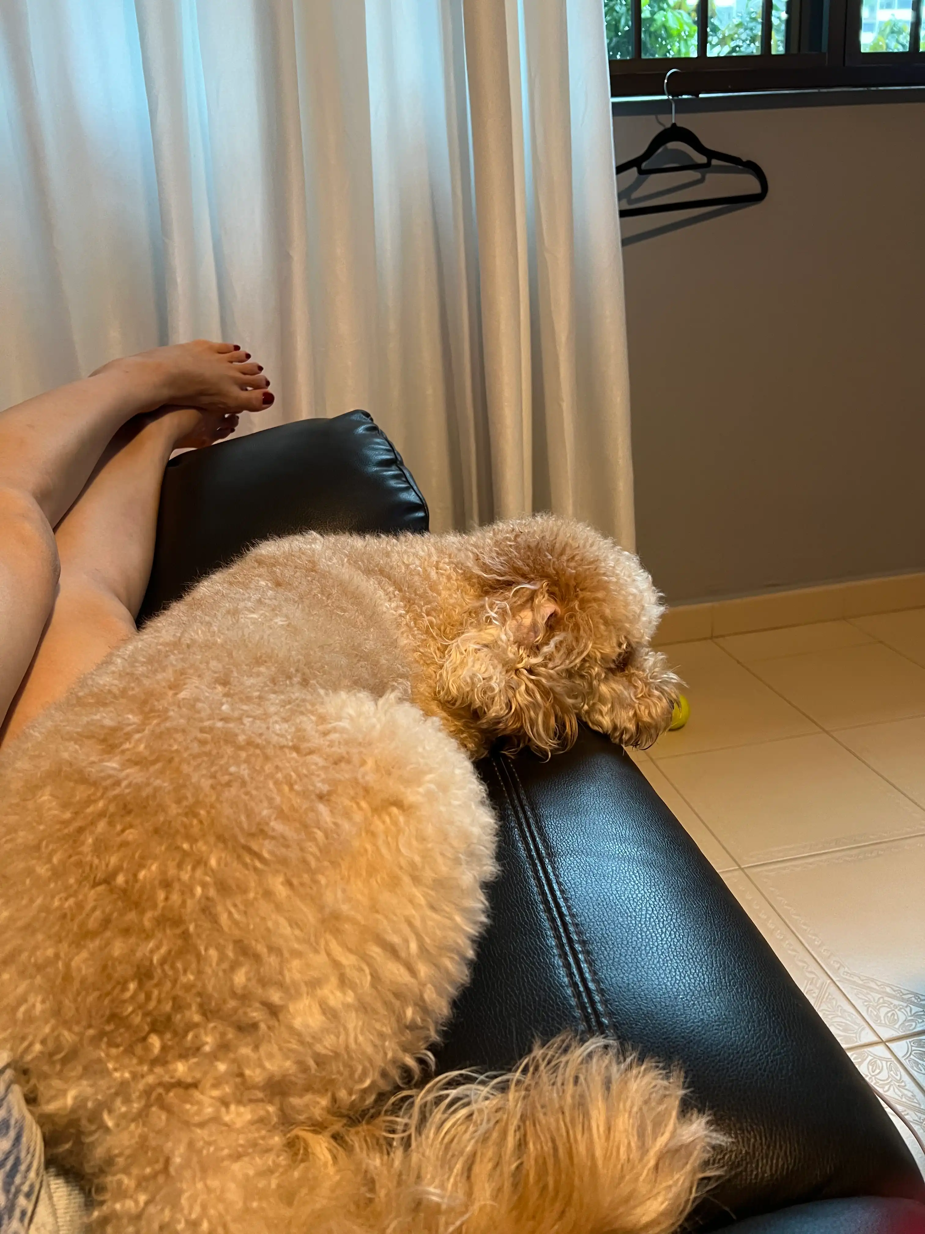image-8
