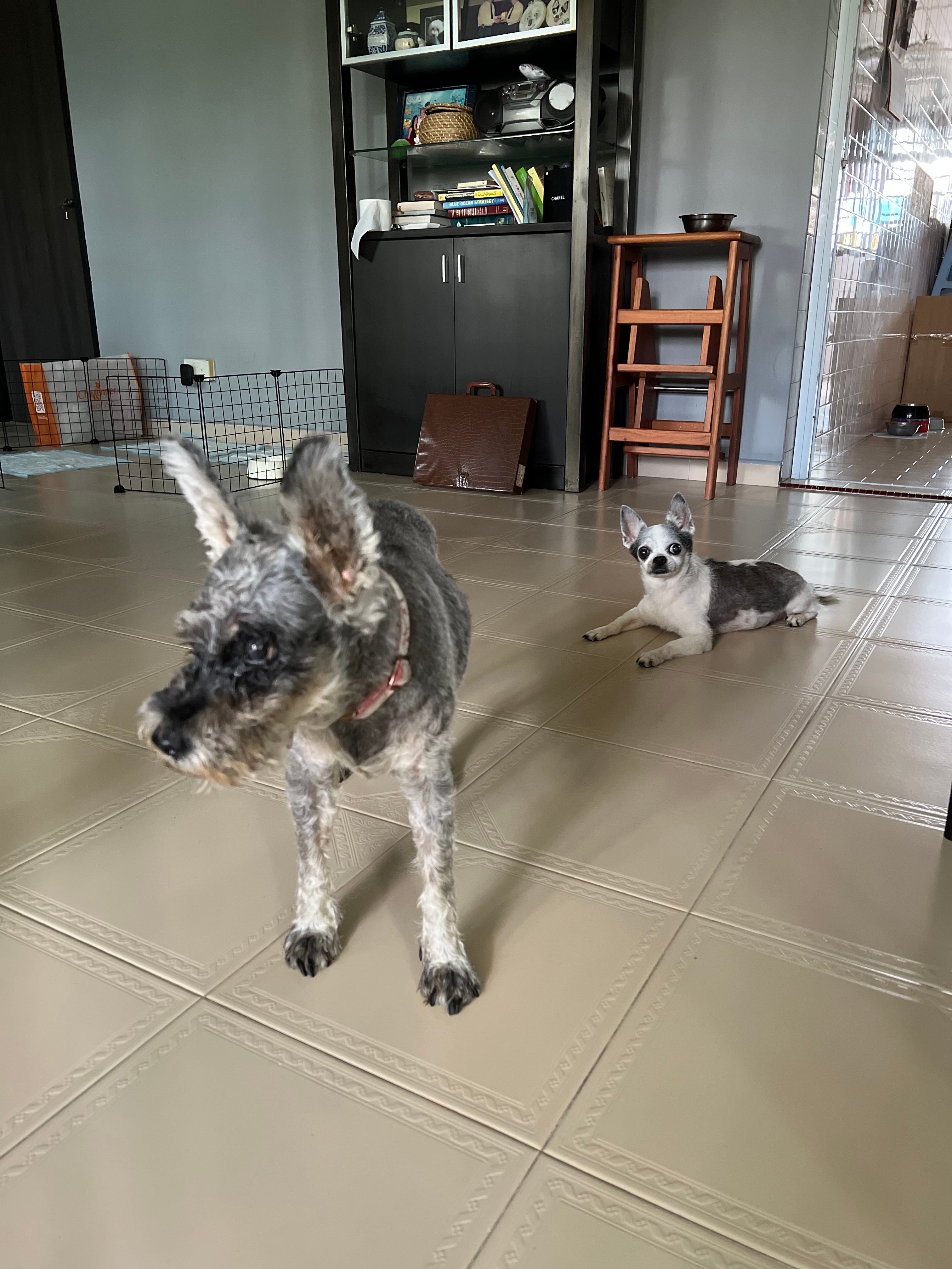 image-7