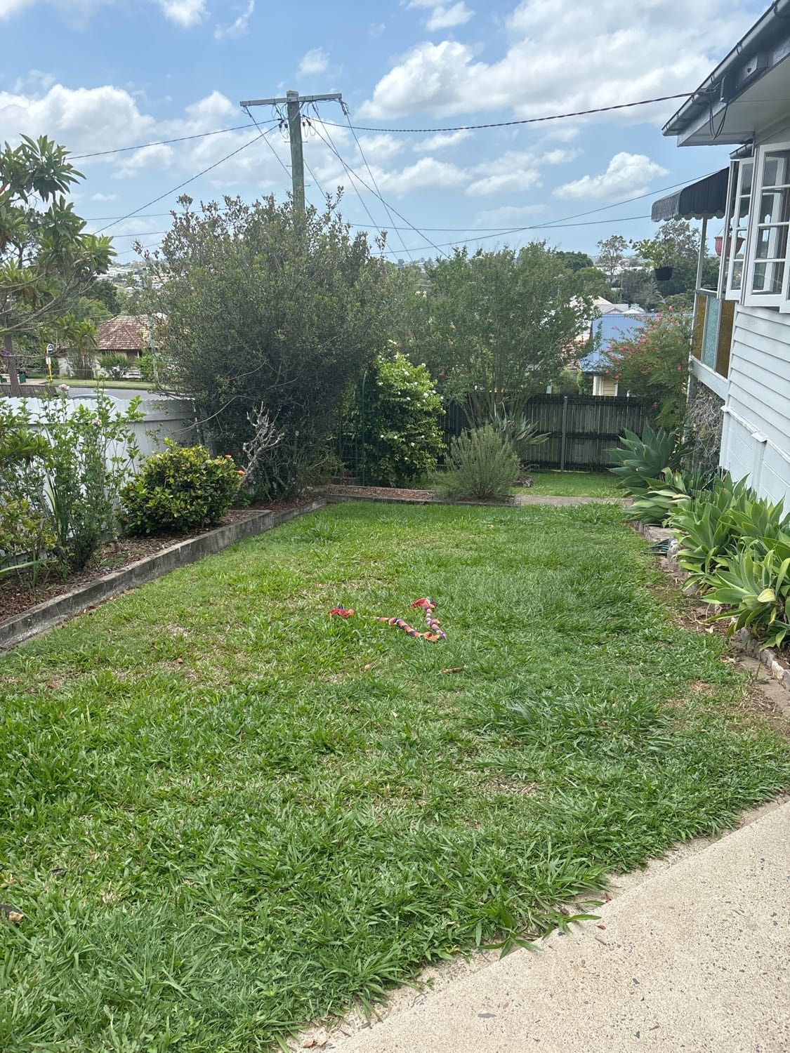 image-4